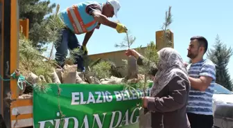 Elazığ'da Mezarlıklarda 10 Bin Fidan Dağıtıldı