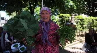 Toprağın Bereketiyle Aile Ekonomisine Katkı Sağlıyorlar