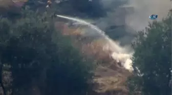 Ayasuluk Kalesi Yakınındaki Yangın Paniğe Neden Oldu