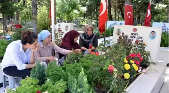 Şehit Annesi Mezar Başında Ağıt Yaktı