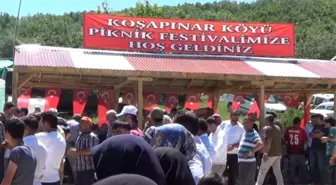 Koşapınar'da Festival Coşkusu