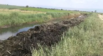 Sulama Kanalında Temizlik Çalışma Başladı