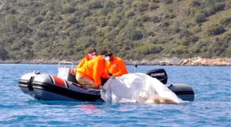 Dereye Düştüğü İddia Edilen Kadının Cesedi Bulundu