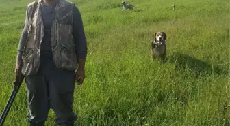 Ava Giden Gencin Tüfekle Vurulmuş Cesedi Bulundu