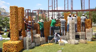 Portakal Festivali Başladı