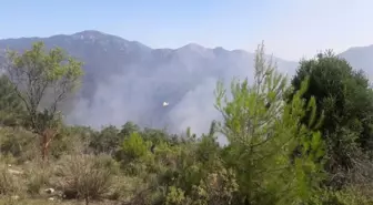 Antalya Gündoğmuş'ta Orman Yangını