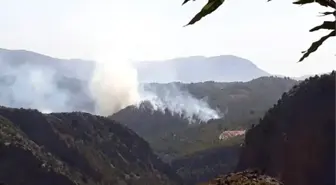 Gündoğmuş'ta Orman Yangını