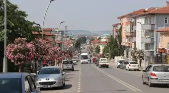 Şehir Çiçek Açtı