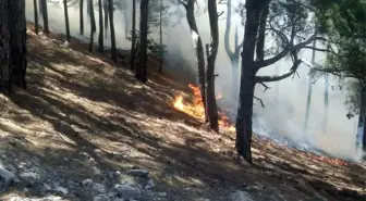 Anamur'daki Orman Yangını Devam Ediyor, Evler Boşaltıldı