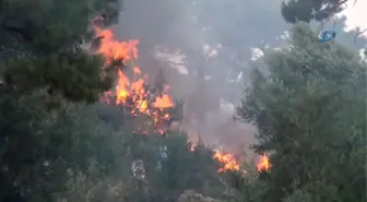 Bodrum Çöplüğü Patladı: Alevler Ormanlık Alana Sıçradı