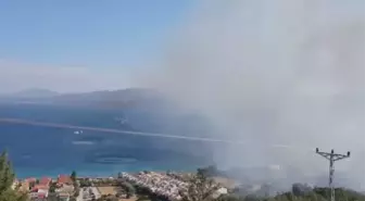 İzmir'de İkinci Orman Yangını