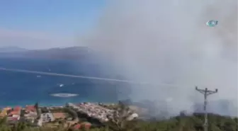 İzmir'de İkinci Orman Yangını