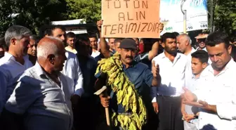 Tütün Protestosunda Gerginlik Yaşandı