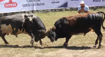 37. Kafkasör Kültür, Turizm ve Sanat Festivali Sona Erdi