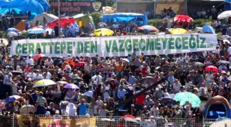 Artvin'de, Boğa Güreşlerinde Maden Protestosu Gerginliği