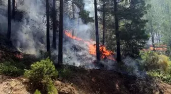 Mersin'deki Orman Yangını