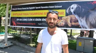 Video Çektim, Hakarete Uğradım