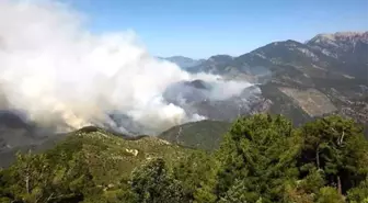 Anamur'daki Orman Yangını Üçüncü Gününde Bir Noktada Devam Ediyor