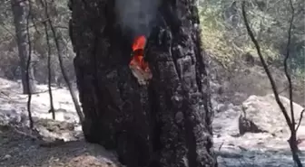 İzmir'deki Orman Yangını Sarp Bölgede Devam Ediyor (3)