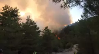 Kaş'taki Orman Yangını