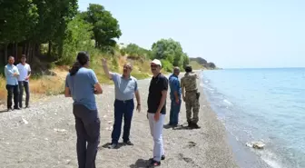 Mehmetçik'in Katılımıyla Van Gölü Sahilinde Temizlik Kampanyası