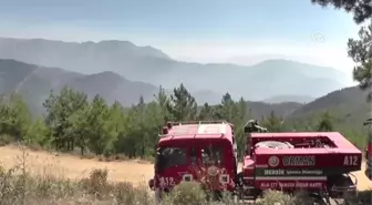 Mersin'deki Orman Yangını