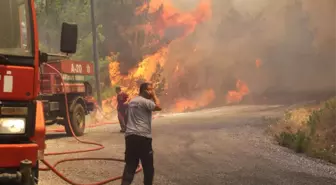 Antalya'nın Ciğerleri Yandı