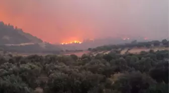 Denizli'de Orman Yangını (5)