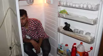 Serinlemek İçin Buzdolabına Giriyor