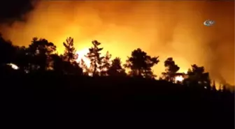 Denizli'deki Orman Yangının Sebebi Kaza ve Doğal Afet Değil