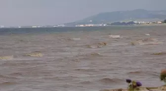 Yalova'daki Kuvvetli Yağış Denizin Rengini Değiştirdi