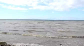 Yalova'daki Kuvvetli Yağış