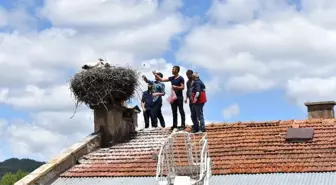 Günün En Güzel Haberi! Anneleri Ölen Yavru Leyleklere Belediye Sahip Çıktı