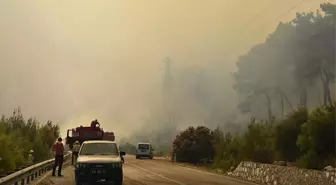 Menderes Ilçesindeki Orman Yangını