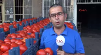 Adana Sıcak Hava Domatesi Vurdu, Kilosu 30 Kuruşa Düştü