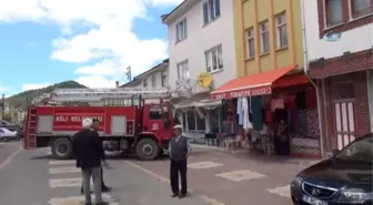 Anneleri Ölen Yavru Leyleklere, Belediye ve Mahalleli Sahip Çıktı