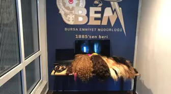 Bursa'da Kadın Kuaföründen 'Peruk' Hırsızlığı