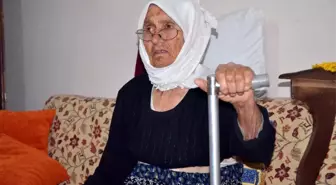 Hesna Nine 50 Yıl Sonra Işığına Kavuştu