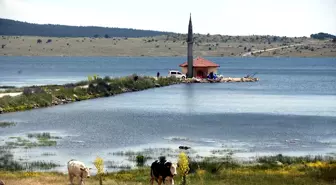 Türkiye Deniz Kanosu Şampiyonası Bolu'da Yapılacak