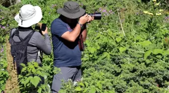 Gümüşhane'de 1. Milli Parklar Ulusal Fotoğraf Kampı Başladı