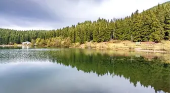 Tema: Cerattepe'nin Madenciliğe Açılması Dönüşü Olmayan Zararlar Verecek