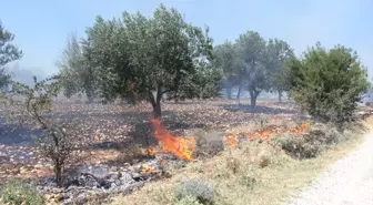 Çanakkale'de Tarım Arazisinde Yangın