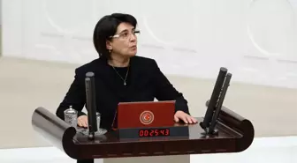 Mahkemeden Leyla Zana Kararı