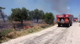 Tarım Arazisinde Yangın