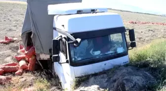Tır Şarampole Devrildi: 5 Yaralı