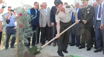 Manisa'da 15 Temmuz Şehitleri Hatıra Ormanı Oluşturuldu