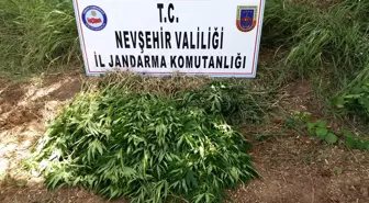 Nevşehir'den Kısa Kısa