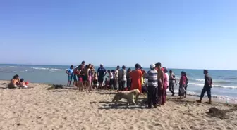 Suriyeli İki Kardeş Serinlemek İçin Girdikleri Denizde Boğuldu