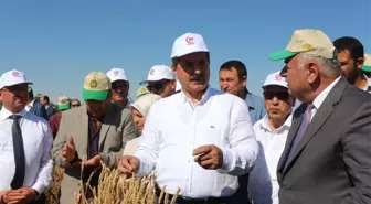 Bakan Çelik Konya'da Hasat Bayramına Katıldı