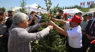 249 Şehidin Künyesi Ağaçlara Asıldı